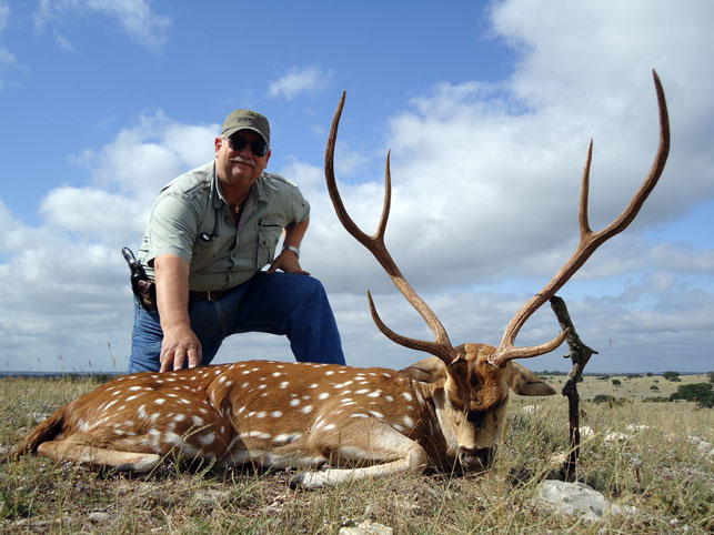 free-range-axis-deer-hunting-in-texas